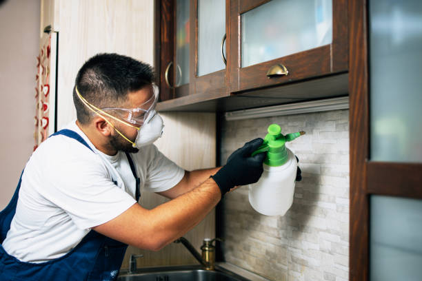 Best Local Pest Control Services  in Penn Wynne, PA