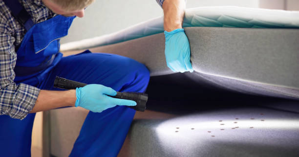 Best Termite Control Services  in Penn Wynne, PA