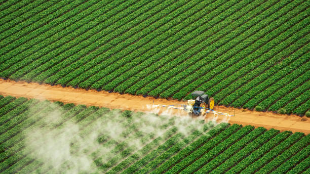 Best Mosquito Control Services  in Penn Wynne, PA